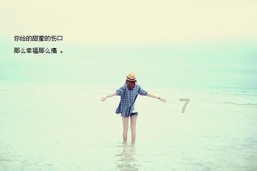 从粗放竞争到科技竞争 产品、市场创新开辟“毛孩子经济”新蓝海 地方政府躬身入场或重塑竞争格局